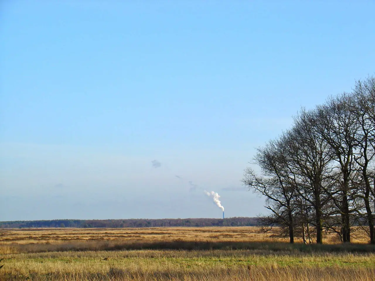 Heidelandschap bij Kraloerheide in Drenthe